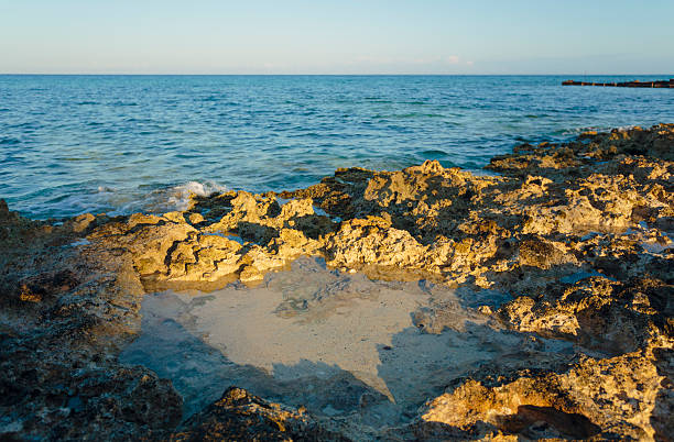 Rocky coast. Rocky coast. Photo taken in Maria La Gorda, Cuba. maria la gorda stock pictures, royalty-free photos & images