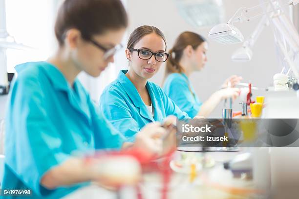 Female Students Learning Prosthetic Dentistry Stock Photo - Download Image Now - Adult, Busy, Dental Equipment