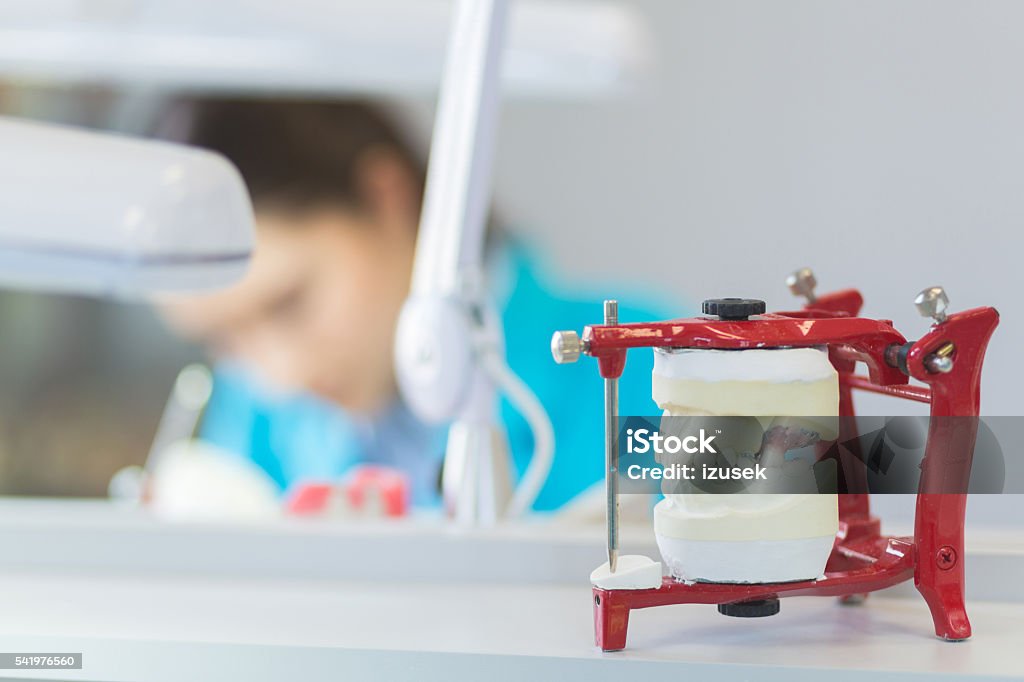 Prosthodontic lab, focus on dentures Woman in a prosthodontic lab, learning prosthetic dentistry. Focus on denture. Unrecognizable person. Adult Stock Photo