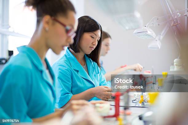 Female Students Learning Prosthetic Dentistry Stock Photo - Download Image Now - Student, Dental Health, Dental Equipment