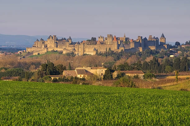 istock Carcassonne, France 541976858