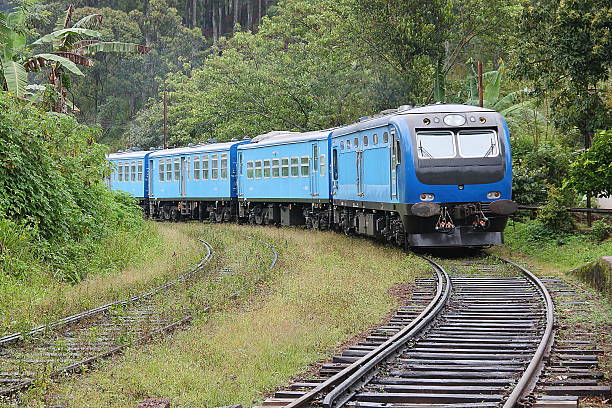 istock Local Train arriving in Ella Sri Lanka 541977010