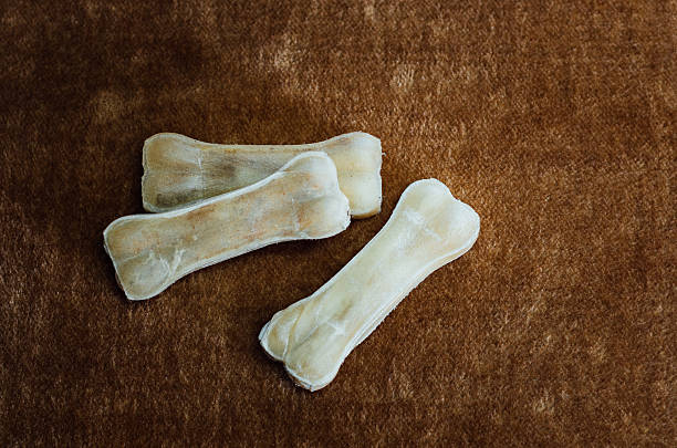 istock bone for a dog to chew on 541977876