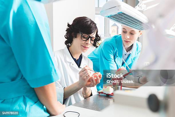 Female Students Learning Prosthetic Dentistry Stock Photo - Download Image Now - Dental Health, Dental Equipment, Laboratory