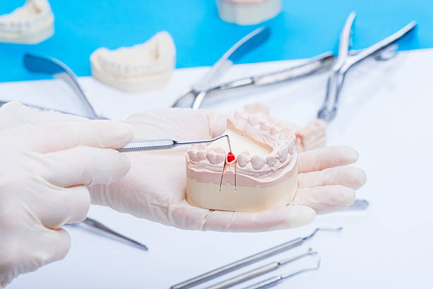 istock Dentist examinates the teeth mold 541978906
