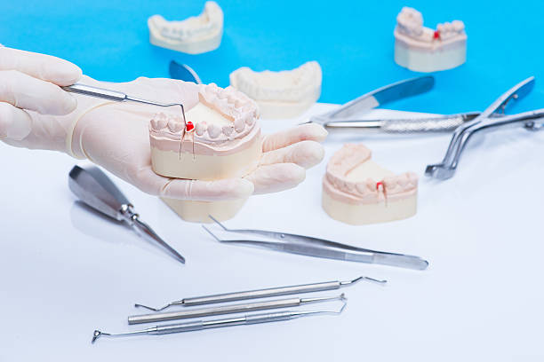 Dentist examinates the teeth mold