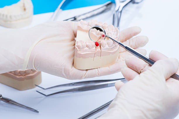 istock Dentist examinates the teeth mold 541979144