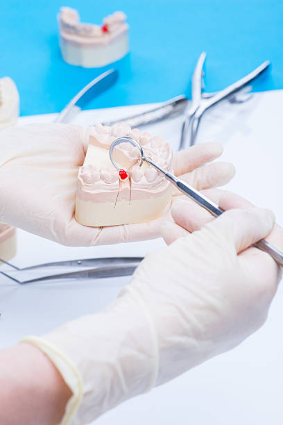 istock Dentist examinates the teeth mold 541979204