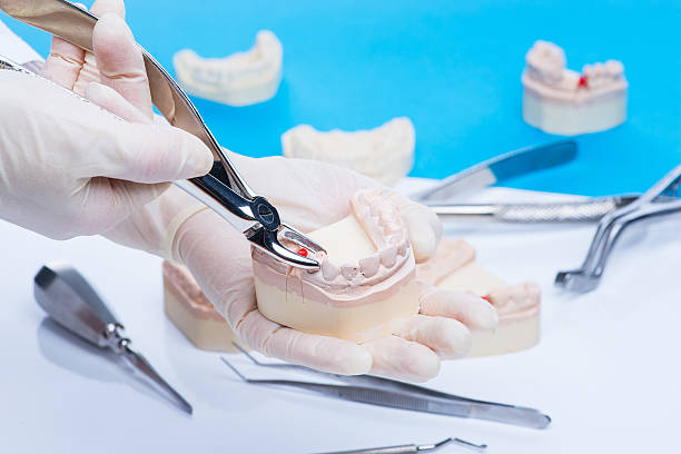 istock Dentist examinates the teeth mold 541979520
