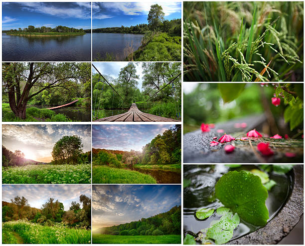 istock set of summer landscapes 541980758