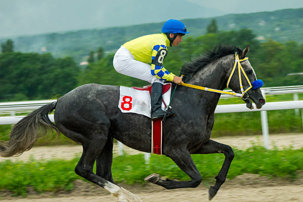 istock Horse racing in Pyatigorsk. 541980918