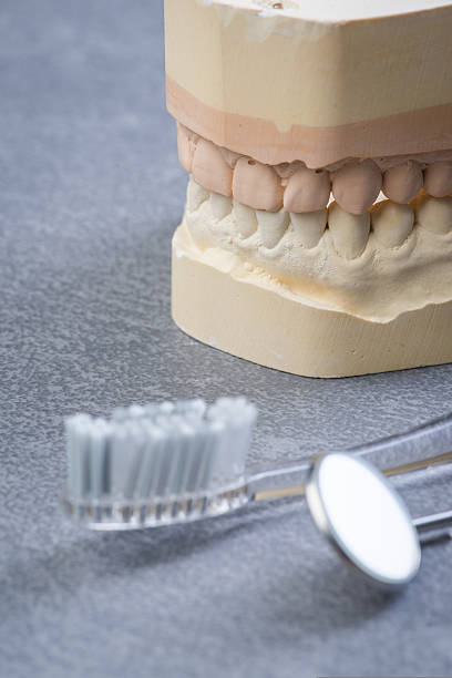 istock Teeth mold with dental tools and brush 541981772