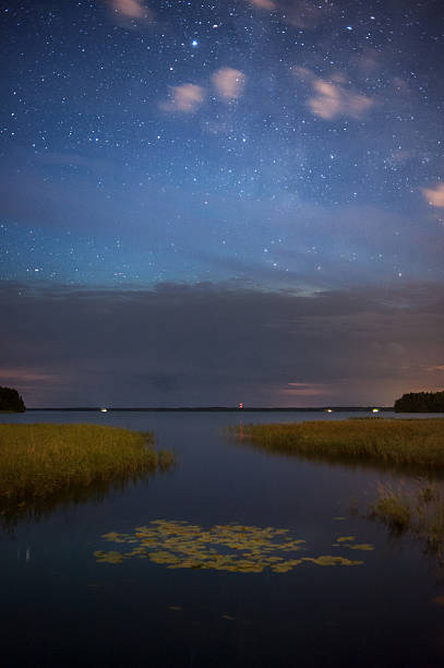 istock Starry night sky at lake shore 541981916