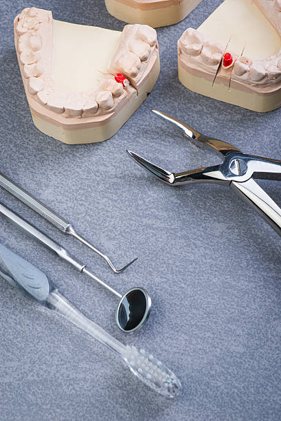 istock Teeth mold with dental tools and brush 541983460
