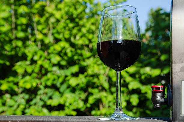 istock Glass of red Bag-in-Box wine 541984516