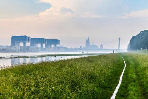 Skyline of Cologne Cathedral, Rheinauharbor and Severinsbridge, with the flooded River Rhine. View from the Pollerwiese (meadow of Poll). 