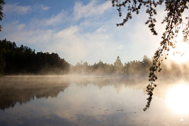 istock Morning Haze on Lake 541986472