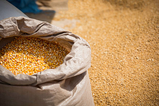 Addis Ababa, Ethiopia - May 21, 2016: Pulses for sale in Shola market in Addis Ababa, Ethiopia