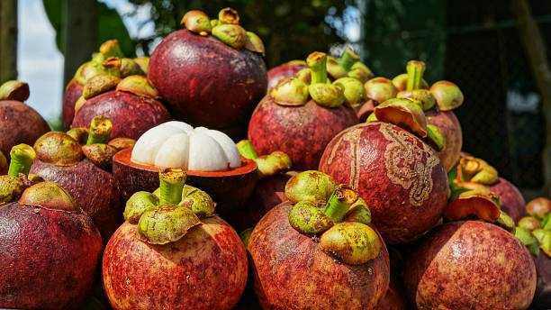 istock Mangosteens Bunch of ripe fruits 541991398