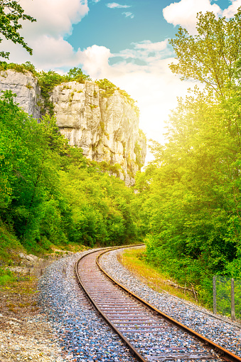 Vertical composition HDR vibrant color photography of an empty railroad, railway track in middle of lush foliage forest, green trees, along a rock cliff in nature. This picture was taken during bright sunset light.