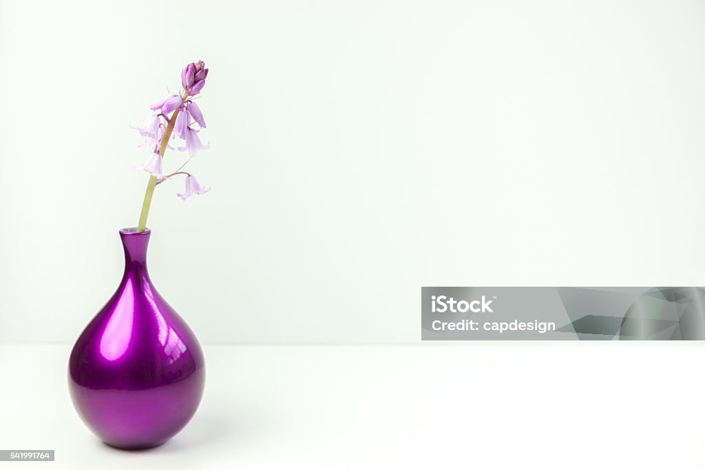 Styled stock floral image Styled stock floral image, bluebells in a purple glass vase. Blogging Stock Photo