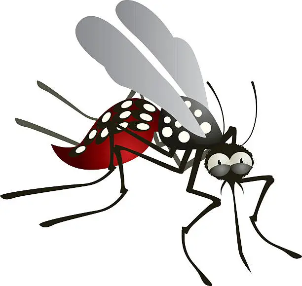 Vector illustration of Mosquito Cartoon