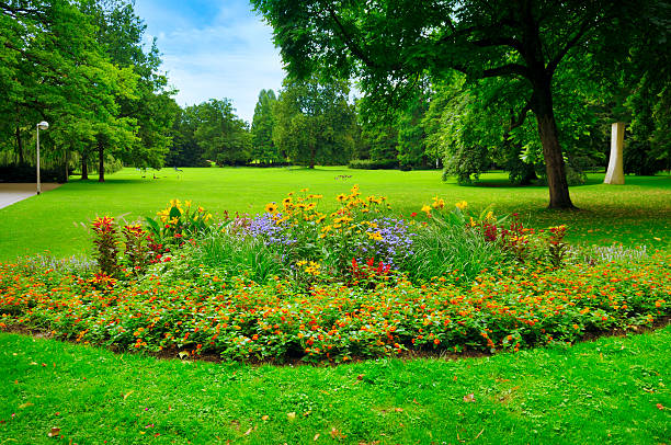 istock summer park with beautiful flowerbeds 541993938