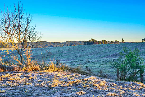 istock Beautiful countryside with frost 541994956