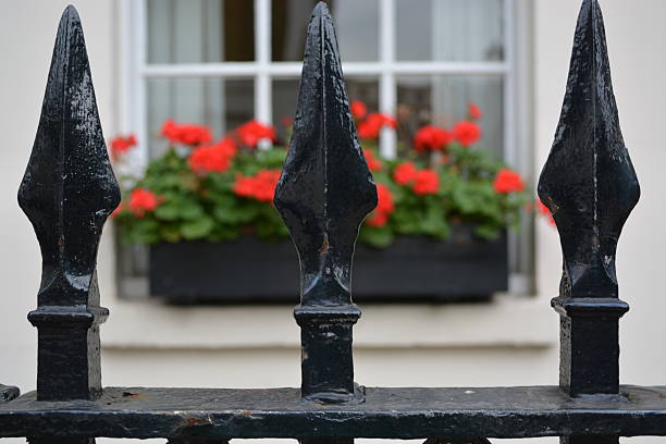 istock Flowers behind the fence 541995406
