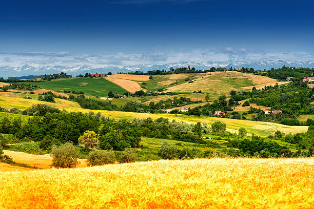 Monferrato (Italy): landscape stock photo