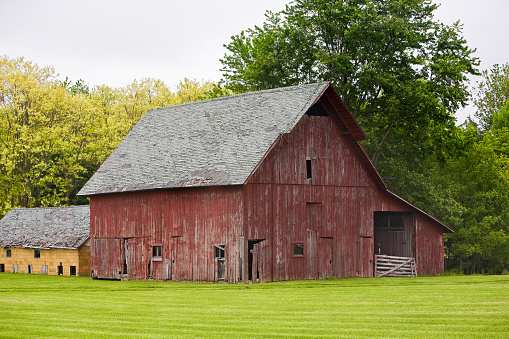 Weathered red barn in green field