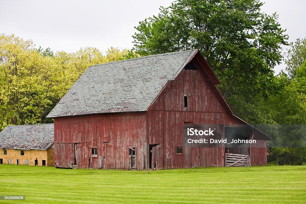 Weathered red barn Green field Trees Weathered red barn in green field Barn Stock Photo