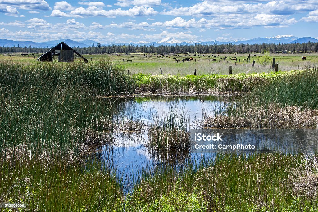 Southern Cascadia ranch land Beautiful rural area Modoc County, California. California Stock Photo