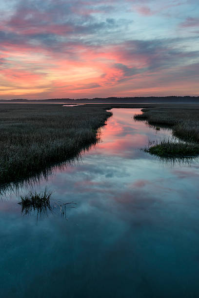 istock Coastal Wetlands with Dramatic Sunrise 542003528