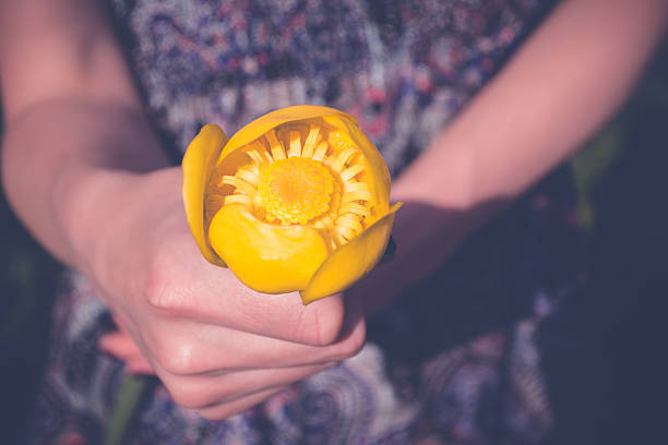istock Water Lily in the girl's hands 542007376