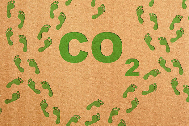 istock Carbon Footprint on Cardboard Background 542008812