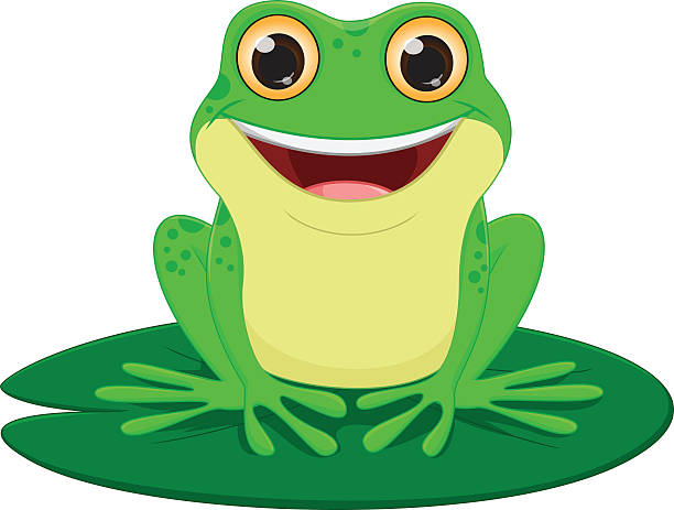 ładna żaba kreskówka - bullfrog frog amphibian wildlife stock illustrations