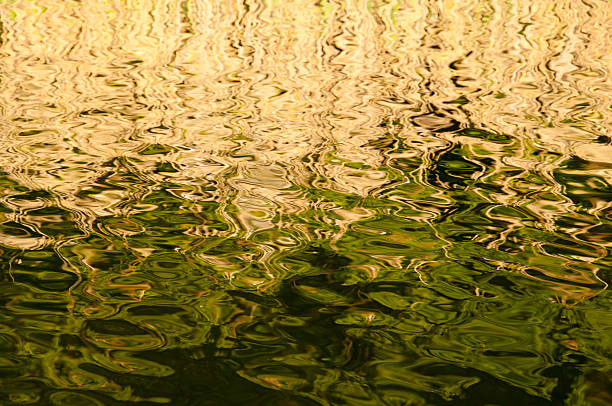 istock Yellow and green water background 542010944
