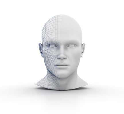 Human Head Wireframe on White Background