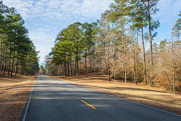 istock Natchez Trace Parkway - Natchez, Mississippi 542012980