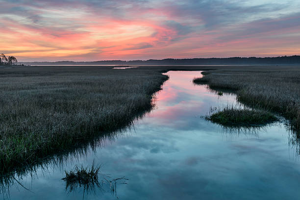 istock Colorful Sunrise Over Inlet with Water Reflections 542013918