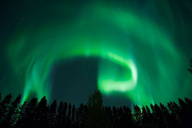 Aurora Borealis Aurora Borealis above forest trees. geomagnetic storm photos stock pictures, royalty-free photos & images
