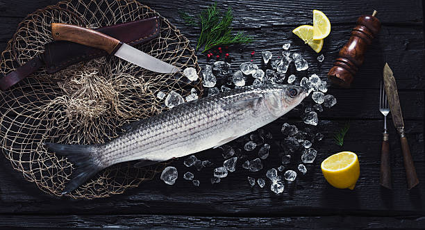 istock Fresh liza fish on ice on a black table 542067528