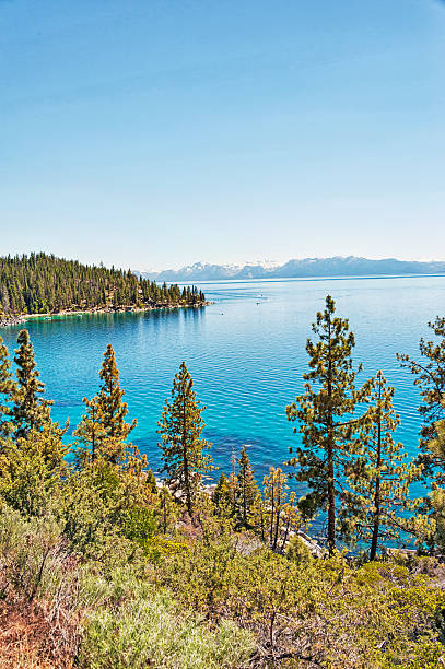 istock Lake Tahoe views from Roadway 542069752
