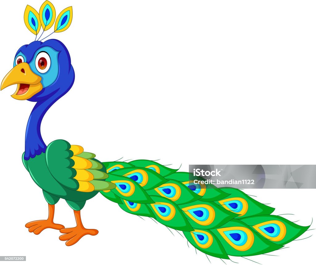 Cute Peacock Cartoon Standing Stock Illustration - Download Image Now -  Animal, Beauty, Beauty In Nature - iStock