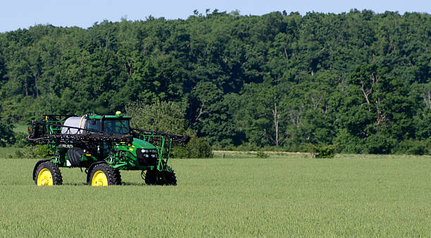 Spraying early rape seed crop.