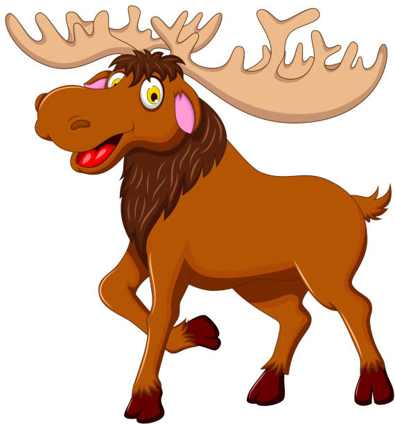 cute moose cartoon for you design vector illustration of cute moose cartoon for you design how to draw a moose drawing stock illustrations