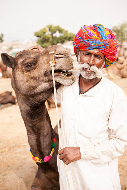 istock Senior Indian Man with Camel at Pushkar Camel Fair 542077010