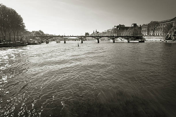 istock Pont des Arts against the sun through willow tree 542079132