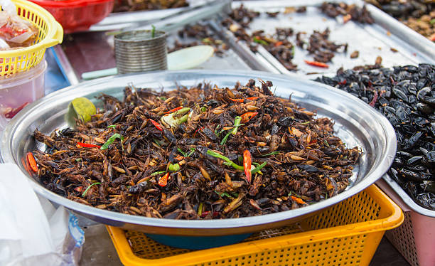 istock pile of filthy dishes infested with roaches 542079274